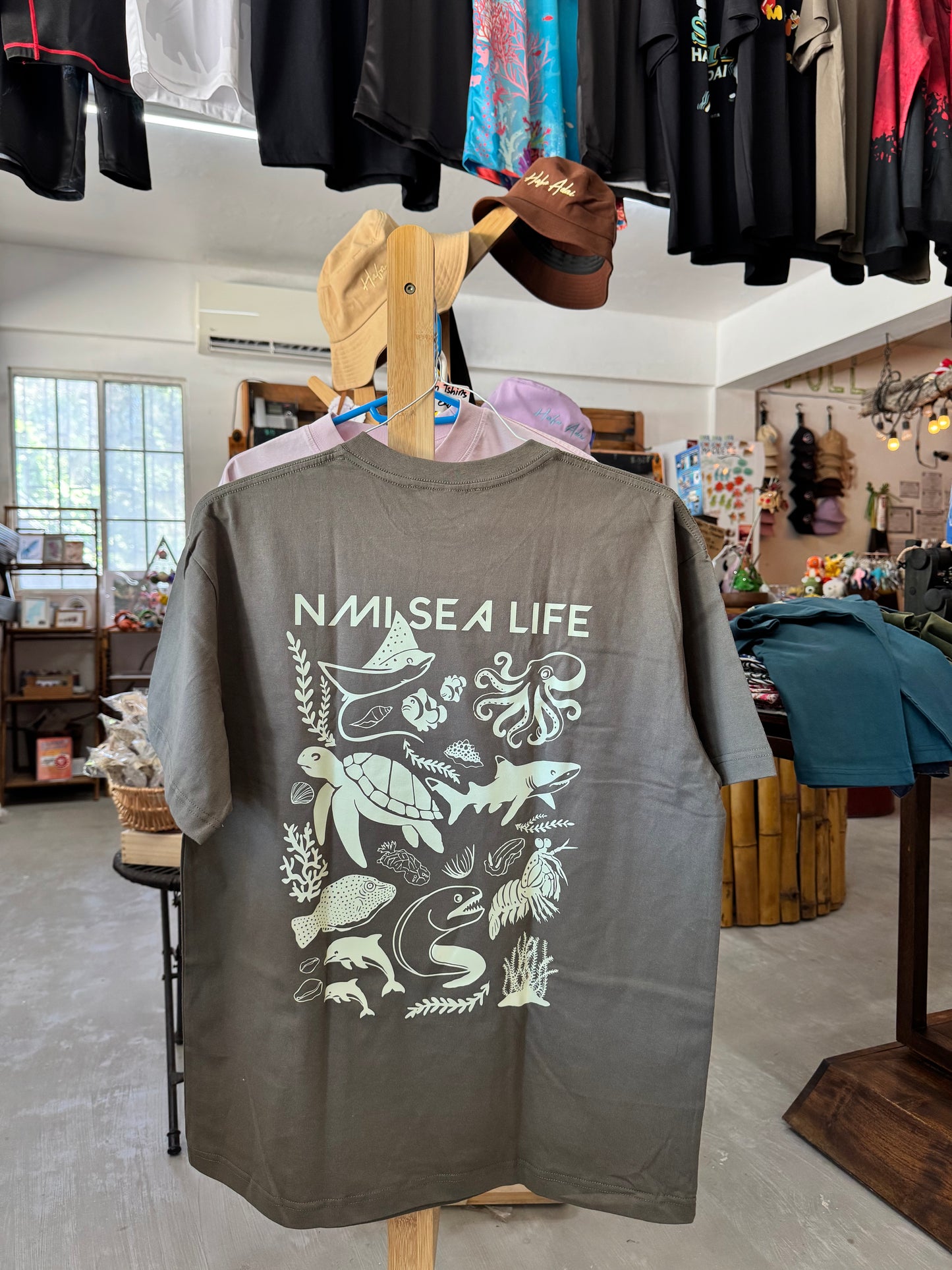 NMI Sea Life