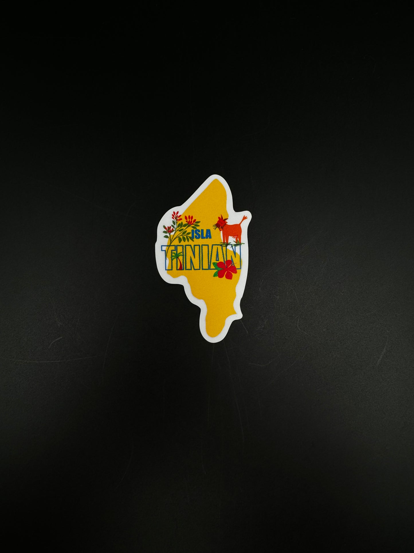 Thin Fridge Magnets