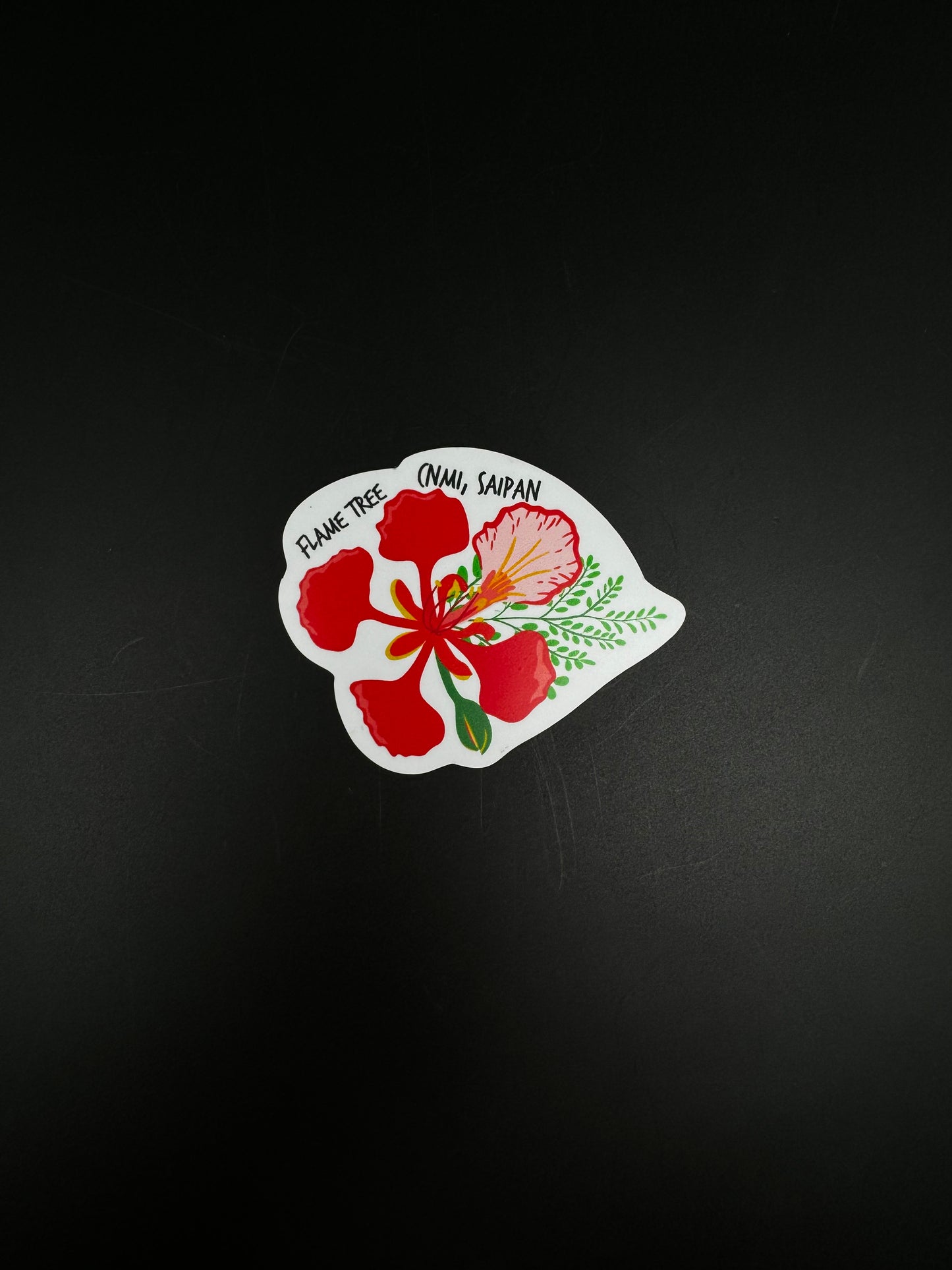 Thin Fridge Magnets