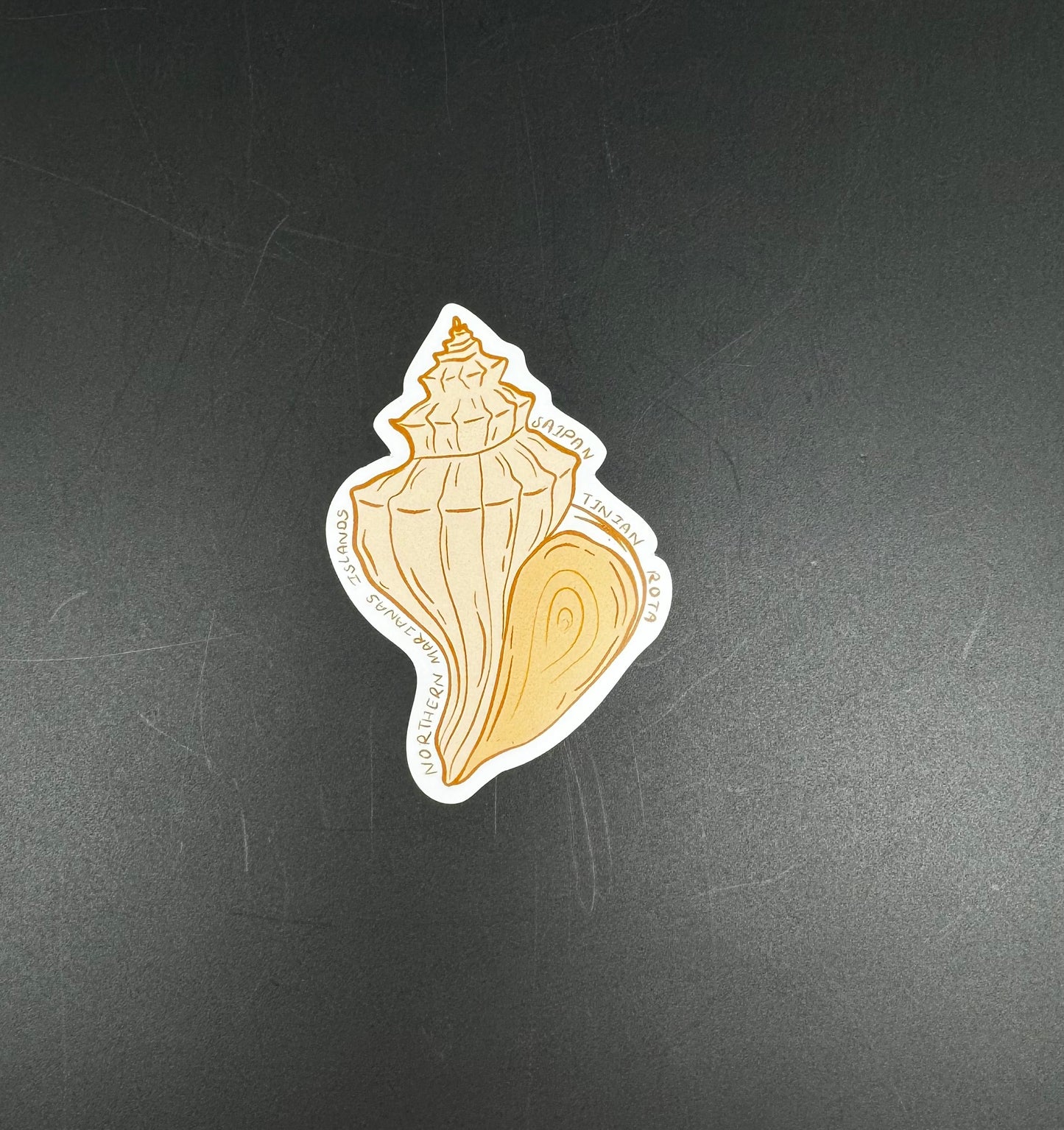 Thin Fridge Magnets