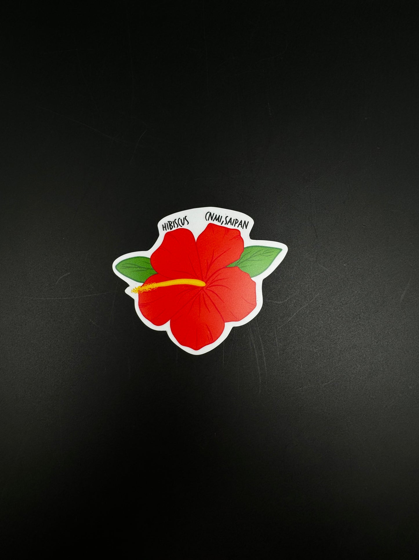 Thin Fridge Magnets