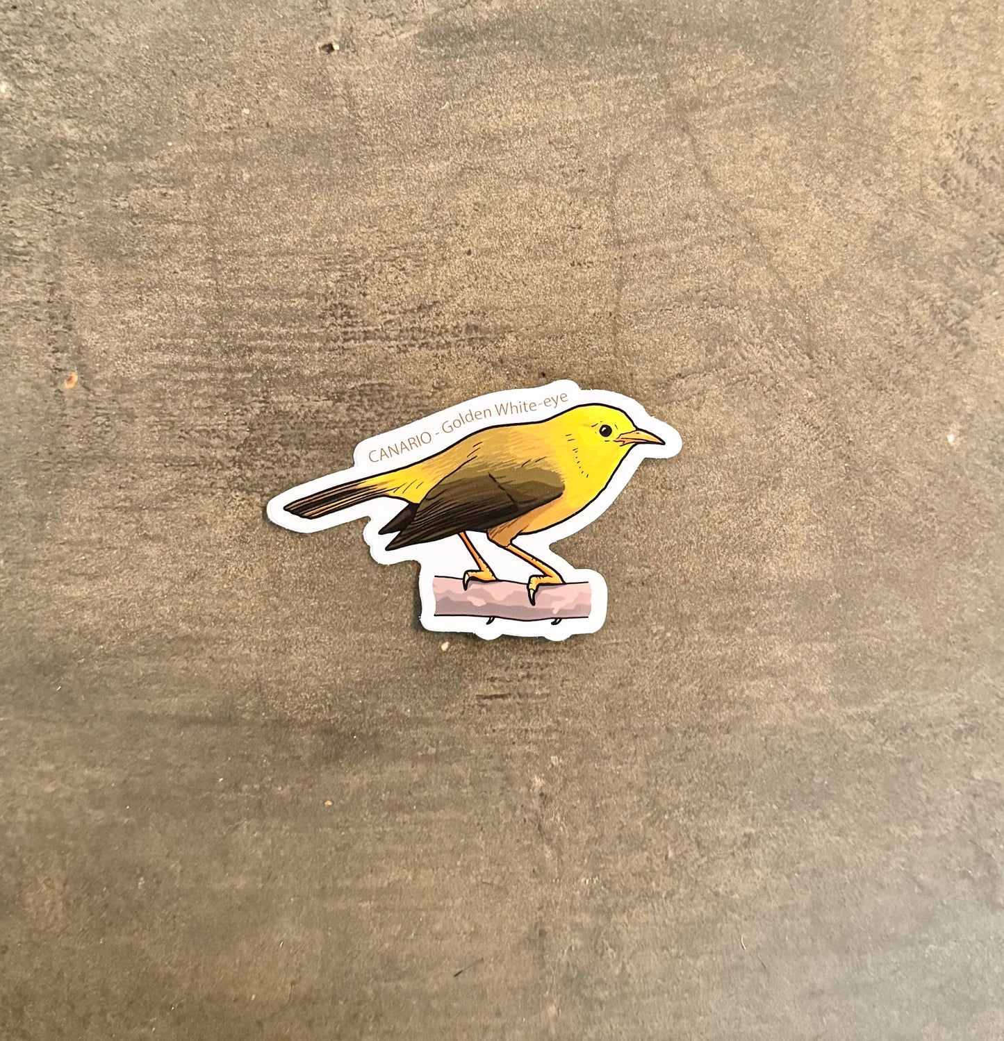 CANARIO Sticker - Golden White-eye