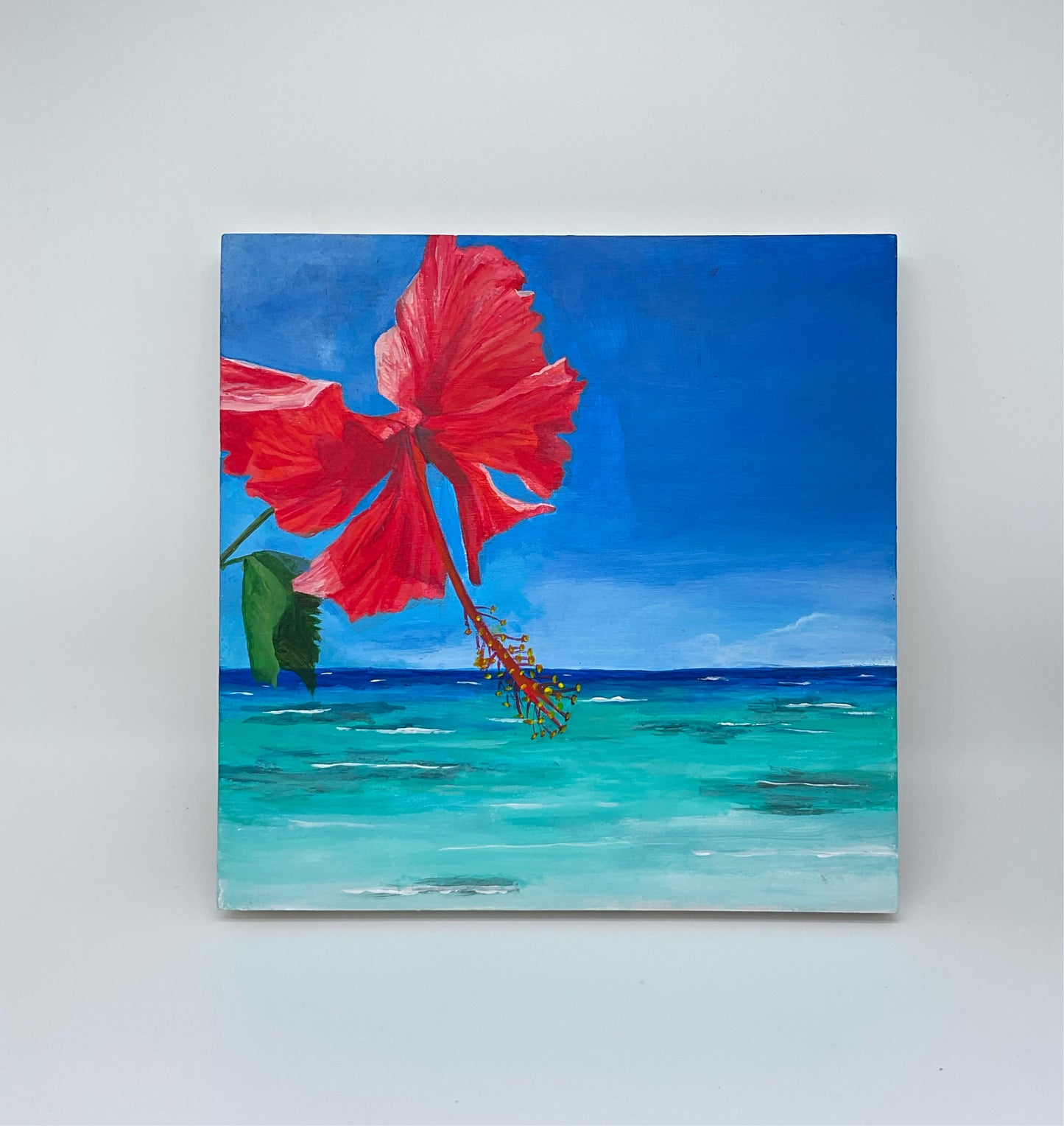 Hibiscus by beach the Beach
