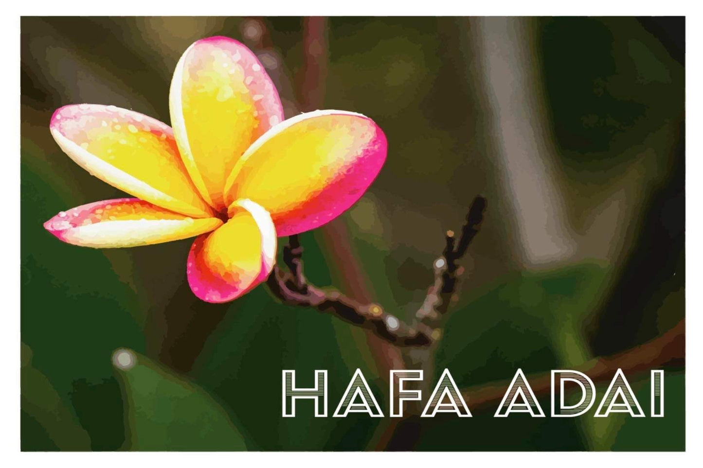 Saipan Post Cards