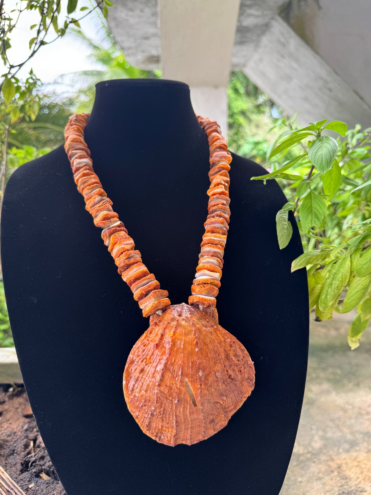Traditional shell Necklaces
