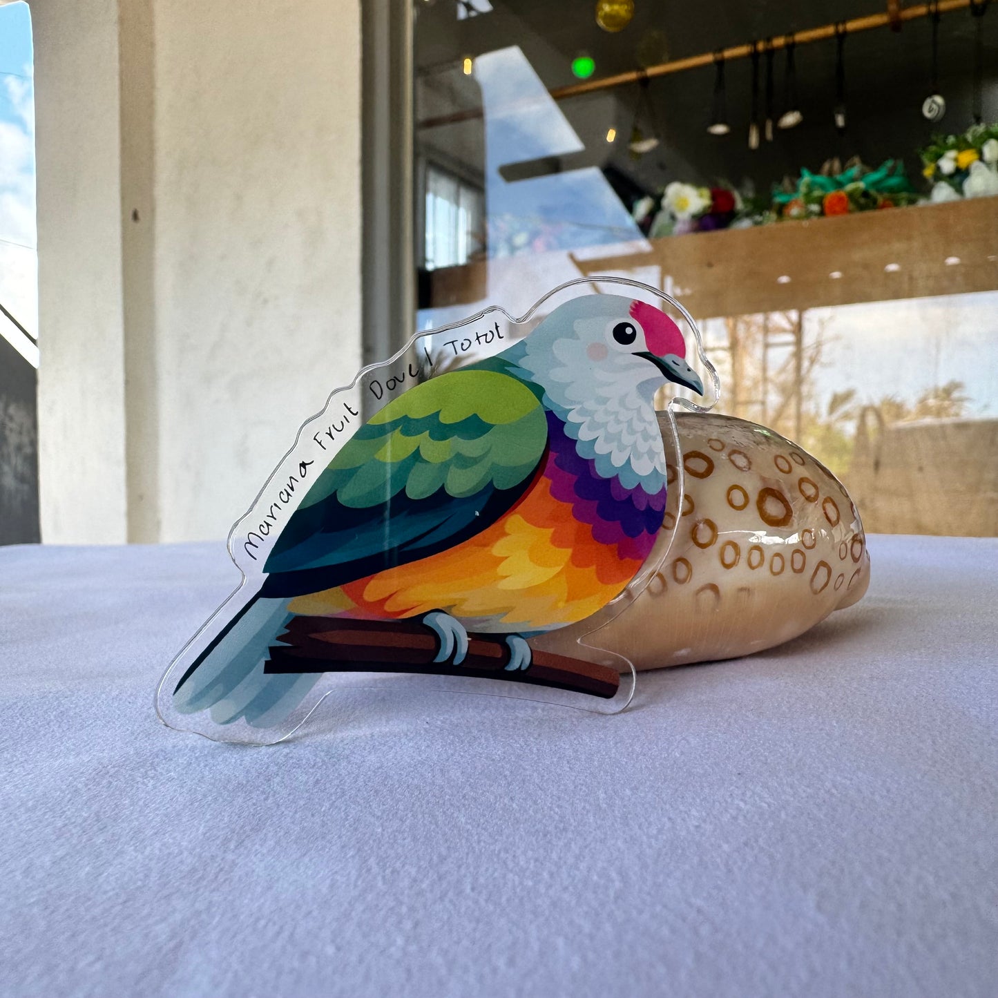 Acrylic Fridge Magnets