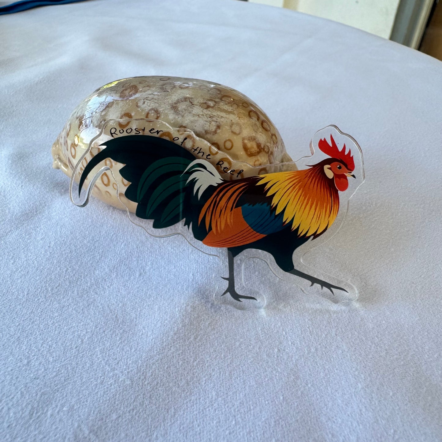 Acrylic Fridge Magnets