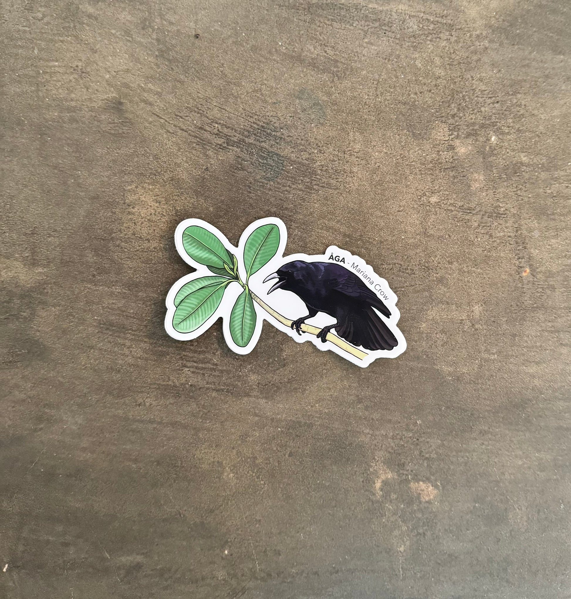 Aga Sticker Åga Sticker - Marianas Crow – Marianas Creations Saipan
