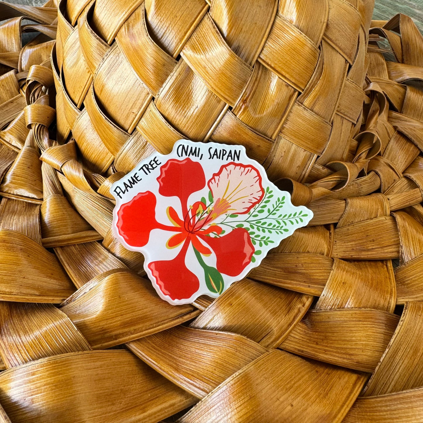 Acrylic Fridge Magnets