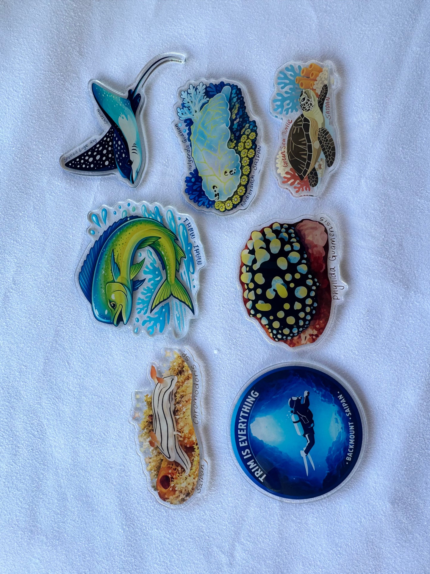 Acrylic Fridge Magnets