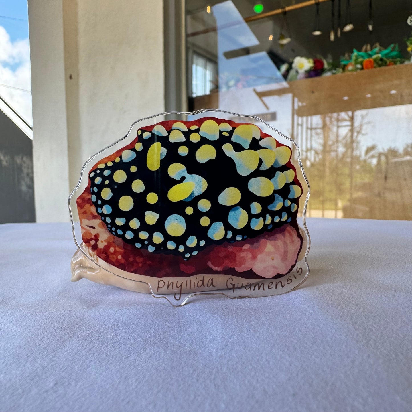 Acrylic Fridge Magnets