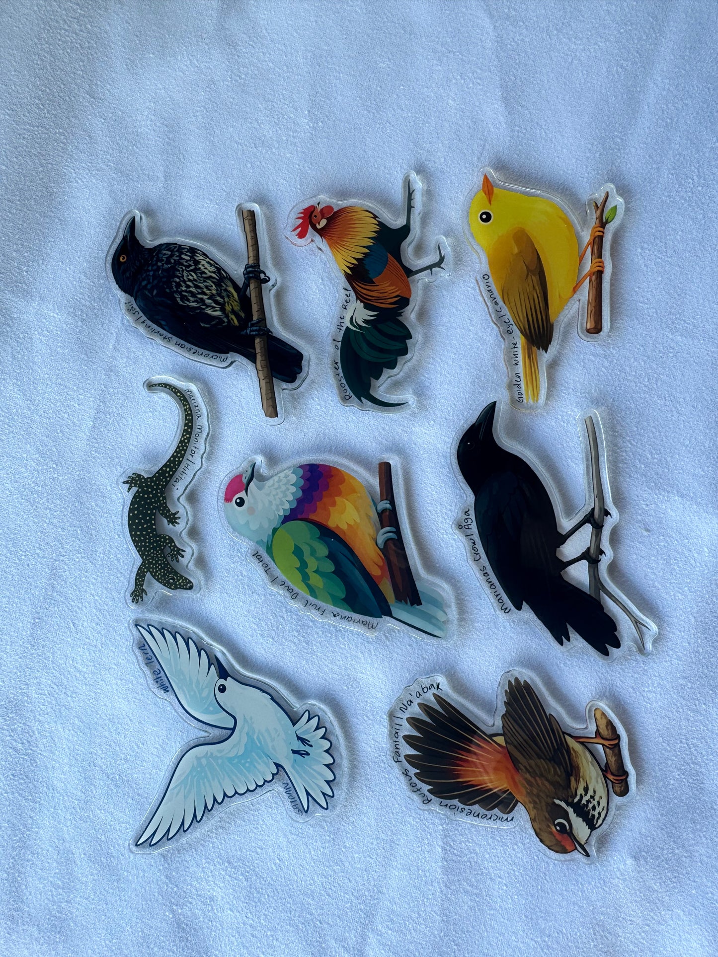 Acrylic Fridge Magnets