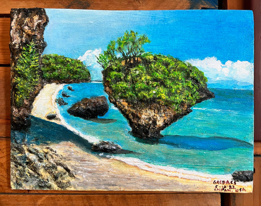 3D Boy’s Scout Beach 9x12