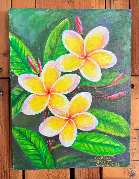 Plumeria Blossom 9x12
