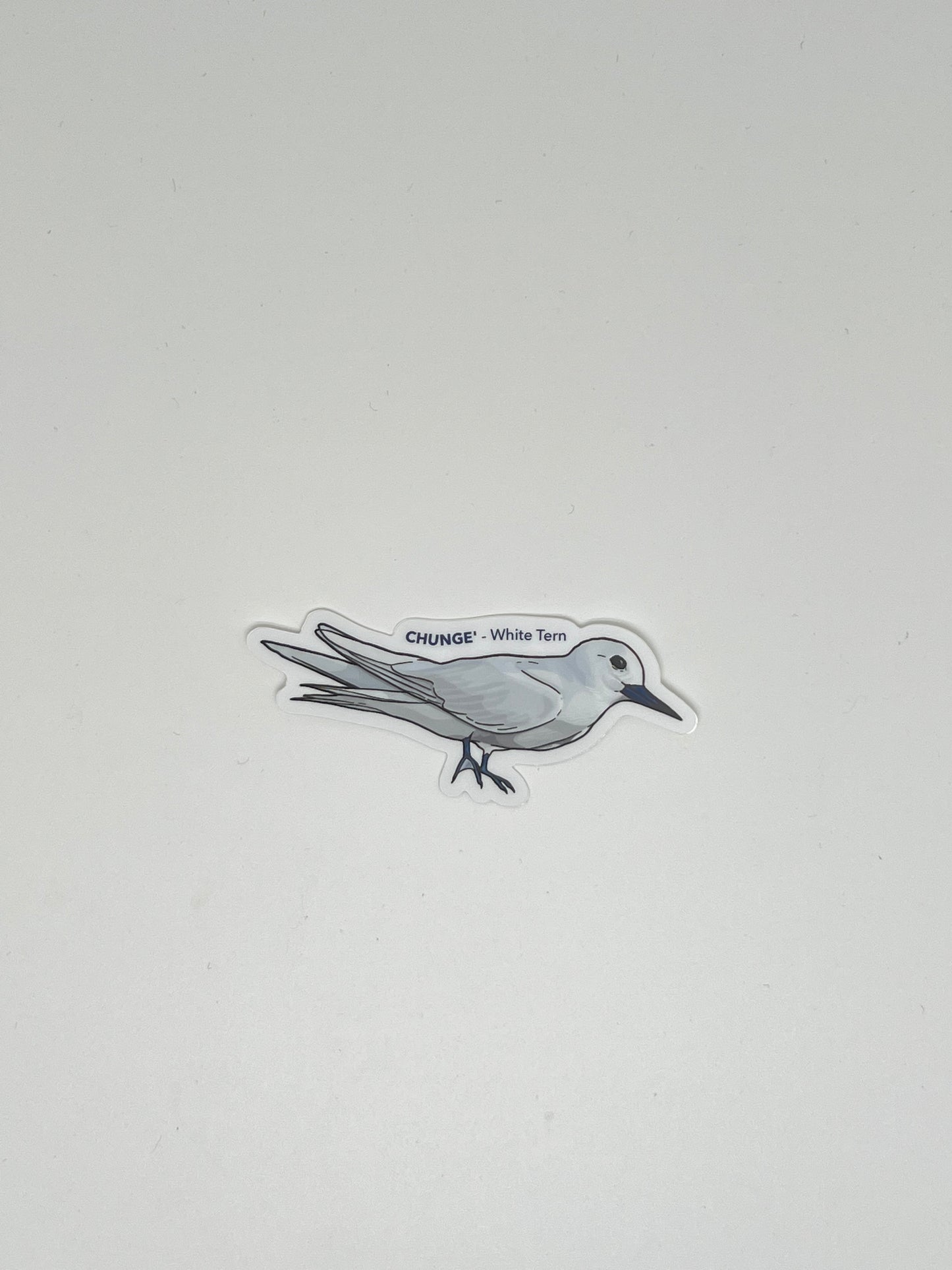 White Tern -Chunge’