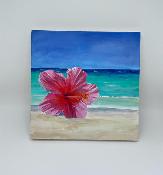 Hibiscus by beach the Beach